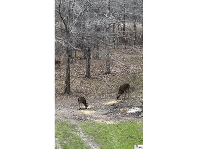 Deer Park Plantation is a 638 acre turnkey hunting and - photo 21