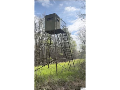 Deer Park Plantation is a 638 acre turnkey hunting and - photo 22