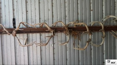 Deer Park Plantation is a 638 acre turnkey hunting and - photo 23