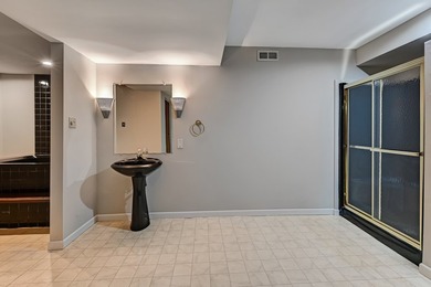 Great opportunity to be in Hinsdale with this classic home that - photo 24