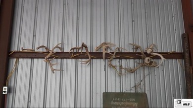 Deer Park Plantation is a 638 acre turnkey hunting and - photo 24
