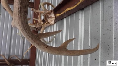 Deer Park Plantation is a 638 acre turnkey hunting and - photo 25