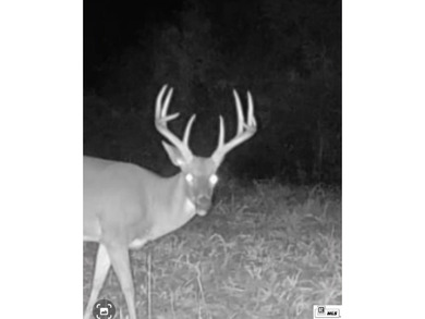 Deer Park Plantation is a 638 acre turnkey hunting and - photo 26