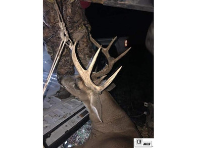 Deer Park Plantation is a 638 acre turnkey hunting and - photo 27