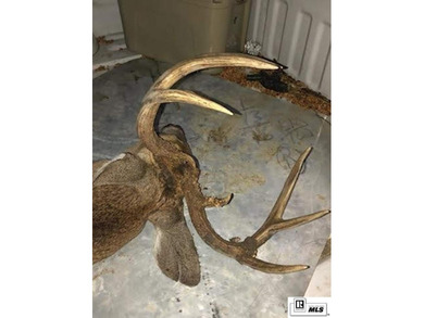 Deer Park Plantation is a 638 acre turnkey hunting and - photo 28