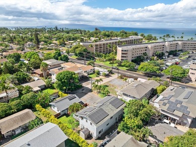 Experience the essence of Maui coastal living and investment - photo 30