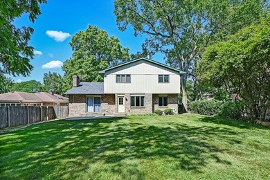 Great opportunity to be in Hinsdale with this classic home that - photo 31