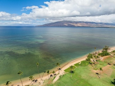 Experience the essence of Maui coastal living and investment - photo 31
