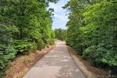 Gorgeous end-of-cul-de-sac lot perfectly positioned on the 3rd - photo 4