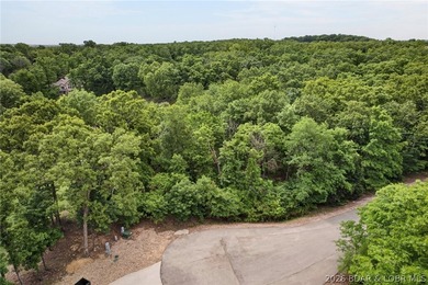 Gorgeous end-of-cul-de-sac lot perfectly positioned on the 3rd - photo 8