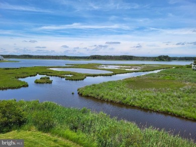 (private lake, pond, coastal) Townhome/Townhouse For Sale in Selbyville Delaware