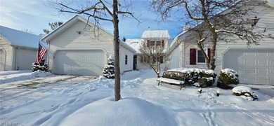 (private lake, pond, creek) Condo For Sale in Brecksville Ohio