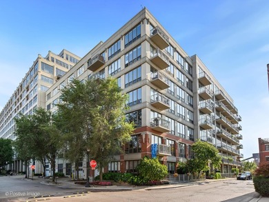 Lake Michigan - Cook County Condo For Sale in Chicago Illinois