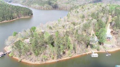 Very buildable lot just off the Big Tallapoosa in Ratley's Cove - photo 11