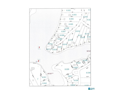 Very buildable lot just off the Big Tallapoosa in Ratley's Cove - photo 13