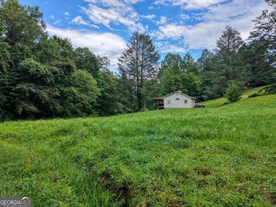 (private lake, pond, creek) Home For Sale in Epworth Georgia