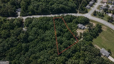 Attention builders, developers, and future homeowners! Rare find - photo 1