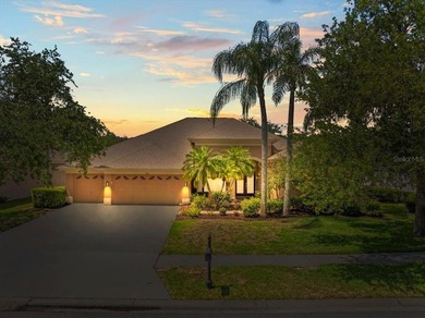 Lake Tarpon Home For Sale in Palm Harbor Florida