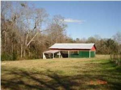 Lake Acreage For Sale in Defuniak Springs, Florida