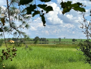 (private lake, pond, creek) Acreage For Sale in Clermont Florida