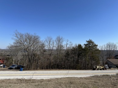 Lake Lot For Sale in Forsyth, Missouri