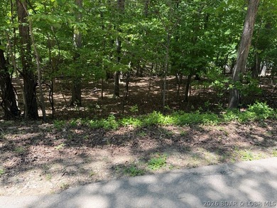 Discover the perfect setting for your dream lake home in the - photo 2