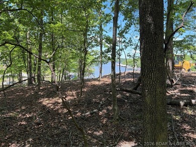 Discover the perfect setting for your dream lake home in the - photo 3
