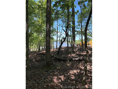 Discover the perfect setting for your dream lake home in the - photo 4