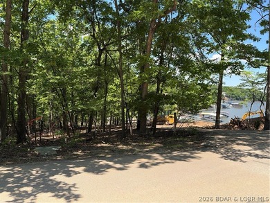 Discover the perfect setting for your dream lake home in the - photo 5