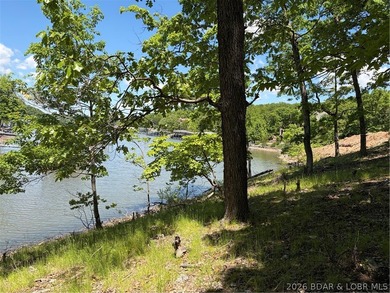 Discover the perfect setting for your dream lake home in the - photo 9
