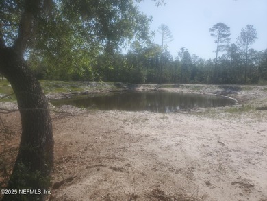 (private lake, pond, creek) Acreage For Sale in Crescent City Florida