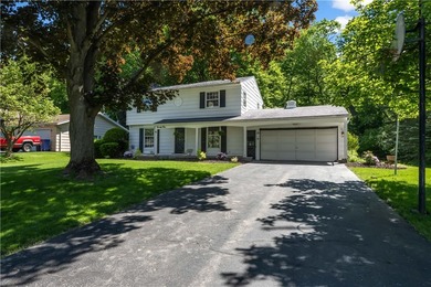 Beautifully updated 4-bedroom, 1.5-bath Colonial nestled on a - photo 3
