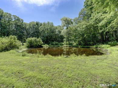 A truly one-of-a-kind property offering endless possibilities on - photo 8