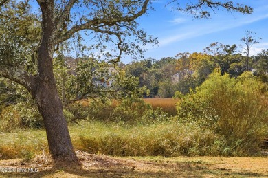 Welcome to 1408 Marsh Cove Lane, a rare opportunity to own over - photo 3