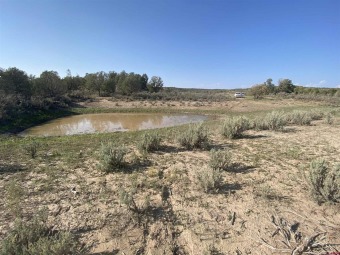 (private lake, pond, creek) Acreage For Sale in Navajo Dam New Mexico