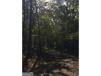 Lake Lot For Sale in Gainesville, Georgia
