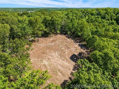 Perched above the Lake of the Ozarks with impressive views and a - photo 4