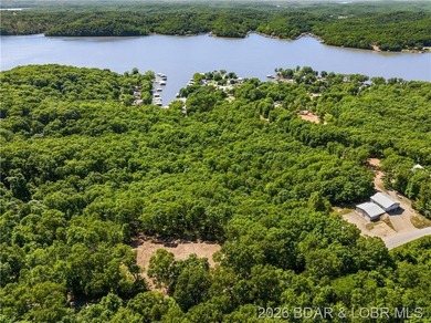 Perched above the Lake of the Ozarks with impressive views and a - photo 6
