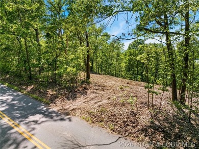 Perched above the Lake of the Ozarks with impressive views and a - photo 8
