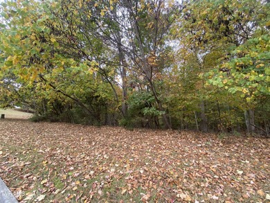Boone Lake Lot For Sale in Piney Flats Tennessee