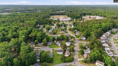 305 Cutter Ct is the kind of home that gives you space - photo 37