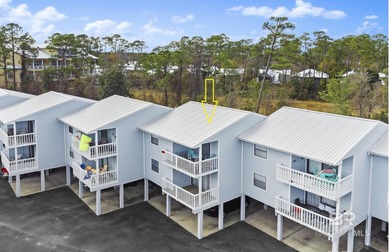 (private lake, pond, coastal) Condo For Sale in Orange Beach Alabama