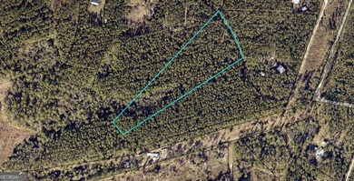 The Great Satilla Preserve provides landowners approximately 2 - photo 1