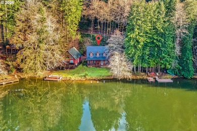 SELLER TO PAY 1 year HOA dues for the buyer! This polished cabin - photo 23
