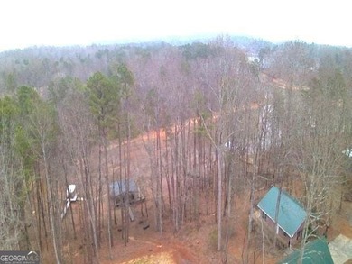 Located on a .46-acre lakefront lot in Martin, GA, 410 Lakeside - photo 38