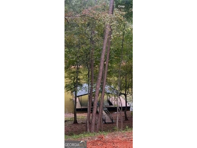 Located on a .46-acre lakefront lot in Martin, GA, 410 Lakeside - photo 44