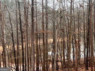 Located on a .46-acre lakefront lot in Martin, GA, 410 Lakeside - photo 46