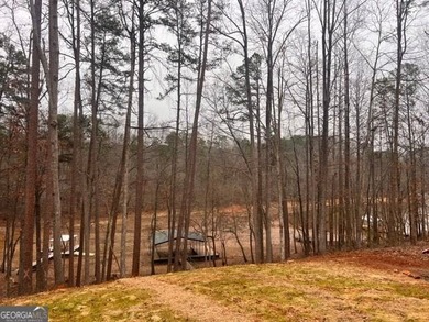 Located on a .46-acre lakefront lot in Martin, GA, 410 Lakeside - photo 47