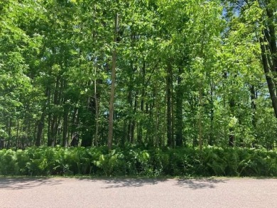 Pickerel Lake - Emmet County Lot For Sale in Alanson Michigan