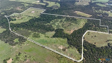 (private lake, pond, creek) Acreage For Sale in Flatonia Texas